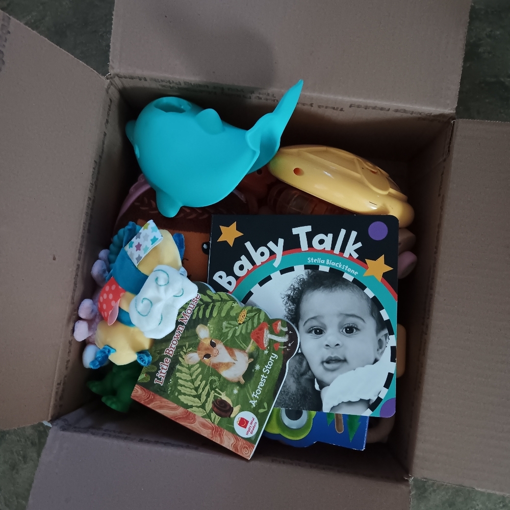 big bundle euc baby toys